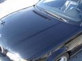 2001 Jet Black BMW 3 Series 330i Convertible  photo #10