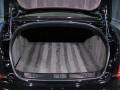 Beluga - Continental Flying Spur  Photo No. 17