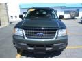 2005 Estate Green Metallic Ford Expedition XLT 4x4  photo #2
