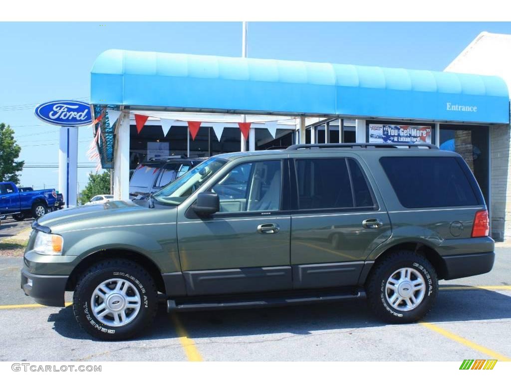 2005 Expedition XLT 4x4 - Estate Green Metallic / Medium Parchment photo #4