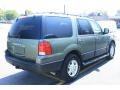 2005 Estate Green Metallic Ford Expedition XLT 4x4  photo #6