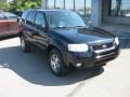 2004 Black Ford Escape Limited  photo #10