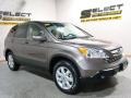 2009 Urban Titanium Metallic Honda CR-V EX-L 4WD  photo #16