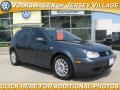 Blue Anthracite Metallic 2005 Volkswagen Golf GLS TDI 4 Door