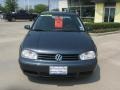 Blue Anthracite Metallic - Golf GLS TDI 4 Door Photo No. 4