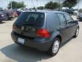 Blue Anthracite Metallic - Golf GLS TDI 4 Door Photo No. 10