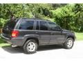 1999 Deep Slate Pearl Jeep Grand Cherokee Limited 4x4  photo #13