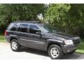 1999 Deep Slate Pearl Jeep Grand Cherokee Limited 4x4  photo #16