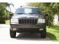 Deep Slate Pearl - Grand Cherokee Limited 4x4 Photo No. 21