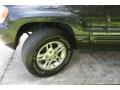1999 Deep Slate Pearl Jeep Grand Cherokee Limited 4x4  photo #25
