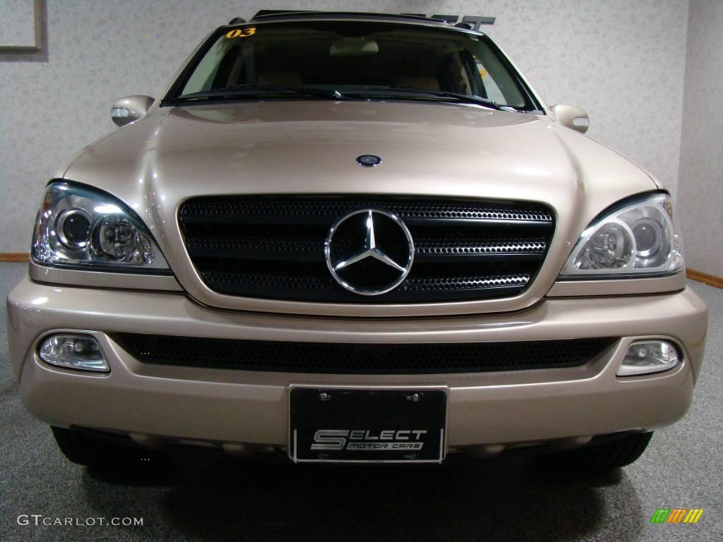 2003 Desert Silver Metallic MercedesBenz ML 320 4Matic 17320717 Photo
