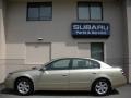 Velvet Beige - Altima 2.5 S Photo No. 6