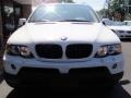 Alpine White - X5 3.0i Photo No. 2