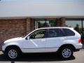Alpine White - X5 3.0i Photo No. 3