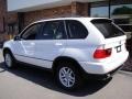 Alpine White - X5 3.0i Photo No. 4