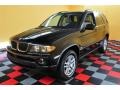 Black Sapphire Metallic - X5 3.0i Photo No. 3