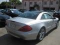 2006 Iridium Silver Metallic Mercedes-Benz SL 500 Roadster  photo #3