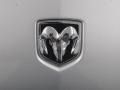 Silver Steel Metallic - Charger R/T Photo No. 47