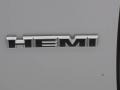 Silver Steel Metallic - Charger R/T Photo No. 48