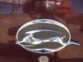 2003 Bronzemist Metallic Chevrolet Impala   photo #19