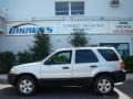 2005 Silver Metallic Ford Escape XLT V6 4WD  photo #1