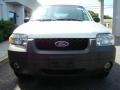 2005 Silver Metallic Ford Escape XLT V6 4WD  photo #3