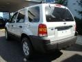 2005 Silver Metallic Ford Escape XLT V6 4WD  photo #4