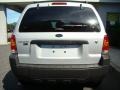 2005 Silver Metallic Ford Escape XLT V6 4WD  photo #5