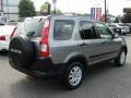 2006 Silver Moss Metallic Honda CR-V EX 4WD  photo #6