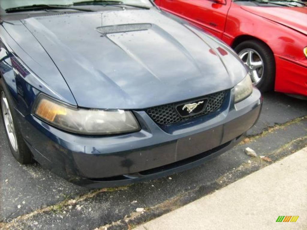 2002 Mustang V6 Coupe - True Blue Metallic / Medium Graphite photo #5