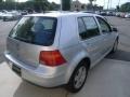 Reflex Silver Metallic - Golf GLS Sedan Photo No. 6