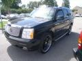 Sable Black - Escalade  Photo No. 2