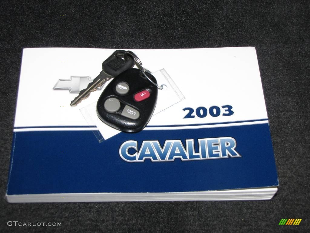2003 Cavalier LS Sport Sedan - Ultra Silver Metallic / Graphite Gray photo #18