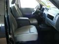Brilliant Black Crystal Pearl - Dakota ST Crew Cab Photo No. 9