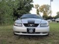 2003 Silver Metallic Ford Mustang V6 Coupe  photo #2