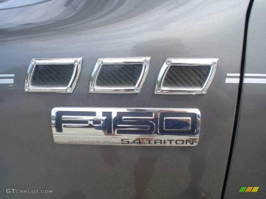 2004 F150 FX4 Regular Cab 4x4 - Dark Shadow Grey Metallic / Black/Medium Flint photo #12
