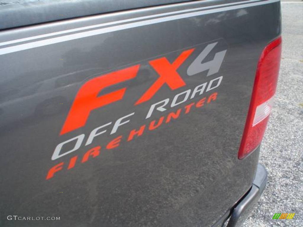 2004 F150 FX4 Regular Cab 4x4 - Dark Shadow Grey Metallic / Black/Medium Flint photo #13