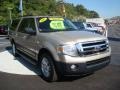 Pueblo Gold Metallic - Expedition EL XLT 4x4 Photo No. 6