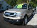 Pueblo Gold Metallic - Expedition EL XLT 4x4 Photo No. 8