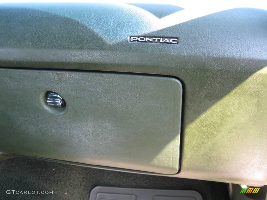 1972 LeMans Sedan - Springfield Green Poly / Green photo #22