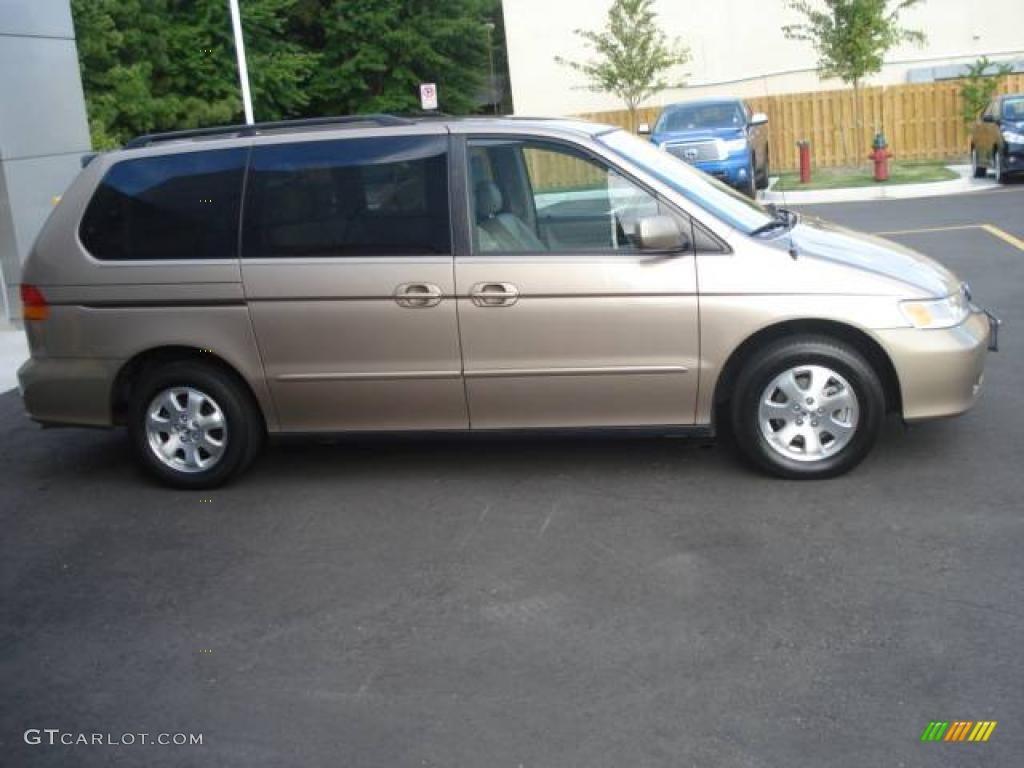 2004 Odyssey EX-L - Sandstone Metallic / Ivory photo #6