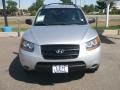 Bright Silver - Santa Fe GLS 4WD Photo No. 2