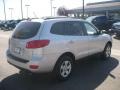 Bright Silver - Santa Fe GLS 4WD Photo No. 6