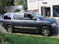 Silver Graphite - QX 56 4WD Photo No. 3