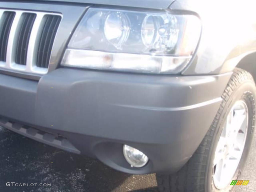 2004 Grand Cherokee Laredo 4x4 - Graphite Metallic / Dark Slate Gray photo #5
