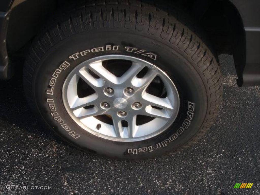 2004 Grand Cherokee Laredo 4x4 - Graphite Metallic / Dark Slate Gray photo #12