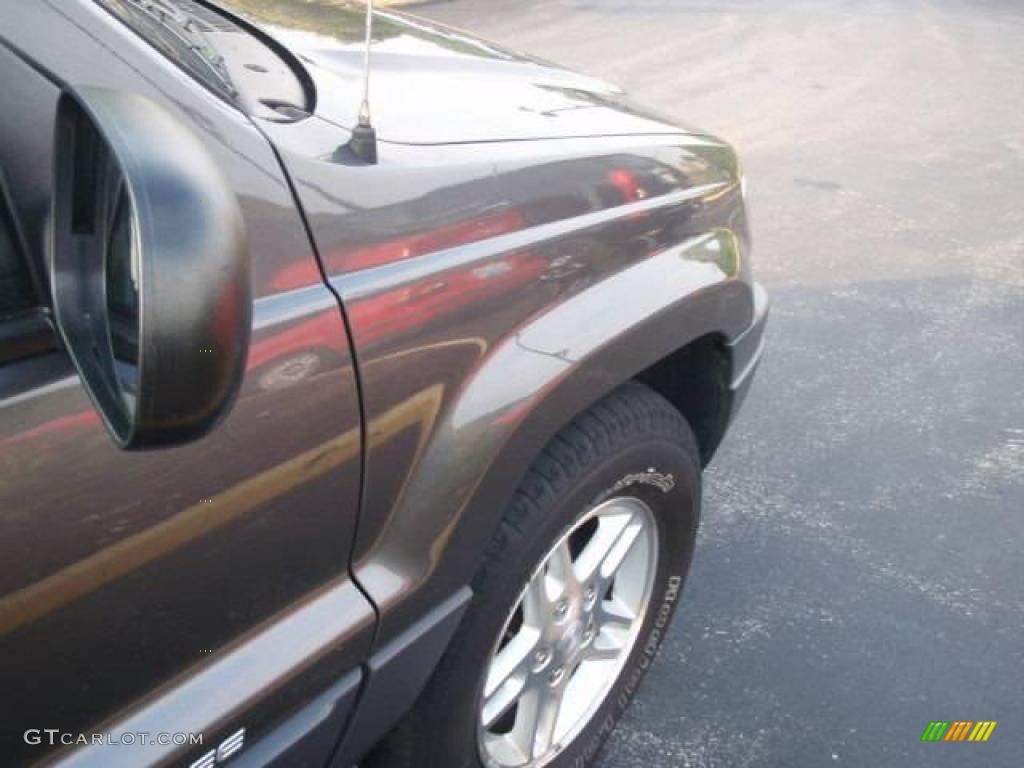 2004 Grand Cherokee Laredo 4x4 - Graphite Metallic / Dark Slate Gray photo #19