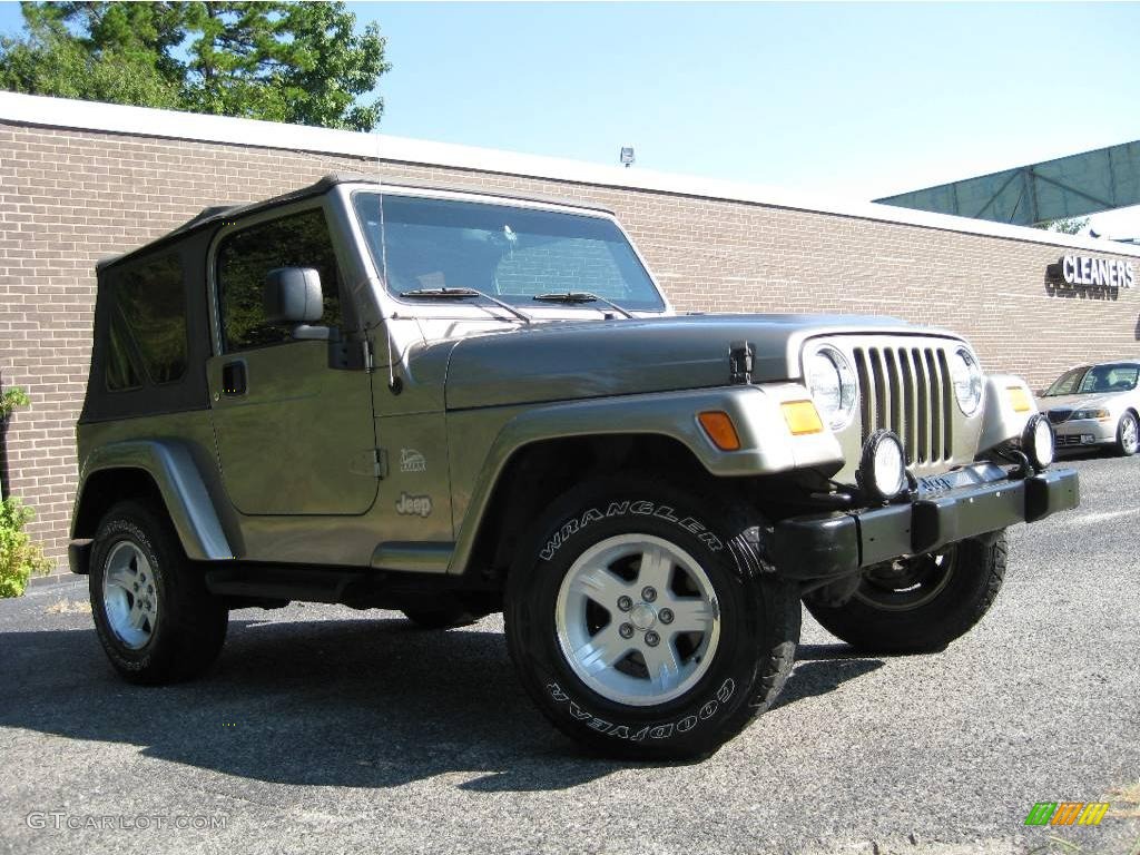 2004 Wrangler Sahara 4x4 - Light Khaki Metallic / Khaki photo #2