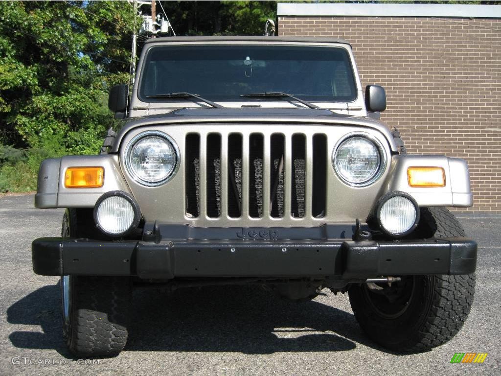 2004 Wrangler Sahara 4x4 - Light Khaki Metallic / Khaki photo #3