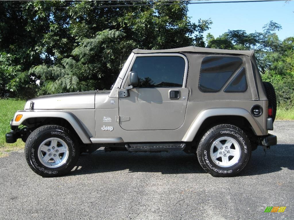 2004 Wrangler Sahara 4x4 - Light Khaki Metallic / Khaki photo #5